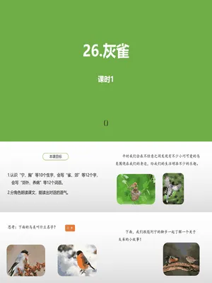 灰雀PPT课件4