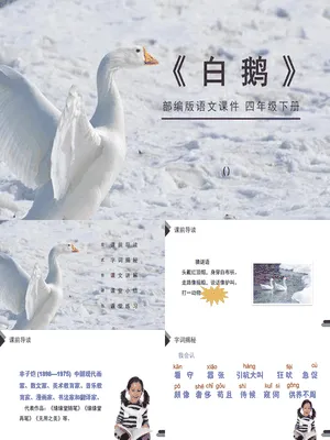 白鹅PPT课件1