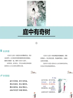 庭中有奇树PPT课件3