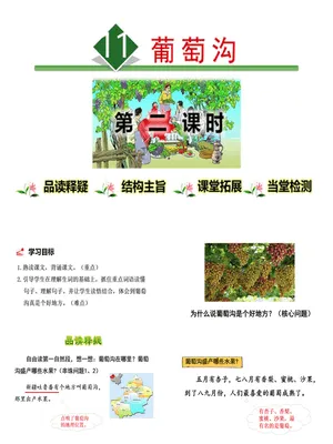 葡萄沟PPT课件1