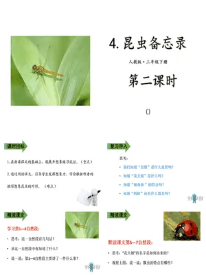 昆虫备忘录PPT课件1