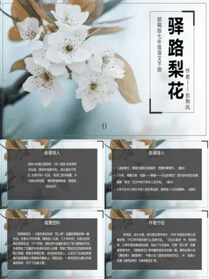 驿路梨花PPT课件6
