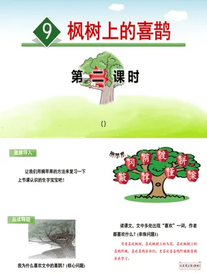 枫树上的喜鹊PPT课件7