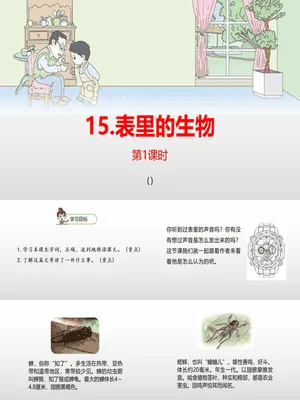 表里的生物PPT课件3