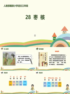 枣核PPT课件6