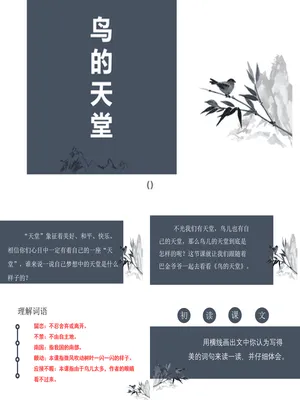 鸟的天堂PPT课件8
