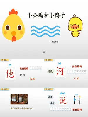 小公鸡和小鸭子PPT课件7