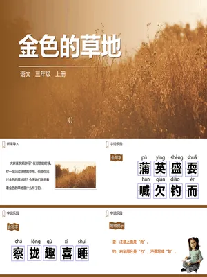 金色的草地PPT课件6