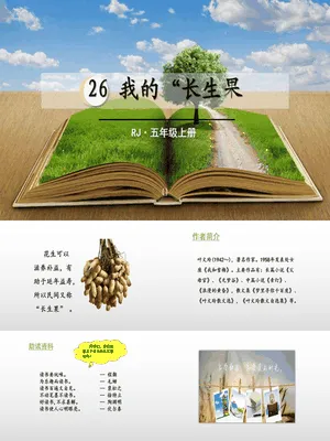我的长生果PPT课件4
