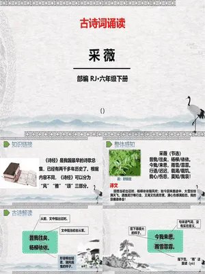 采薇PPT课件5
