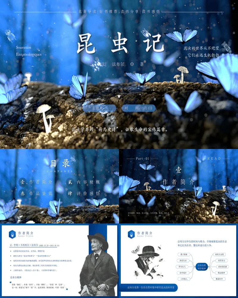 《昆虫记》好书推荐分享读后感悟