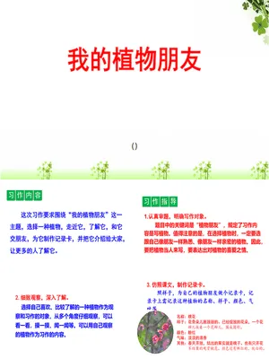 我的植物朋友PPT课件7