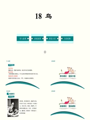 鸟PPT课件1