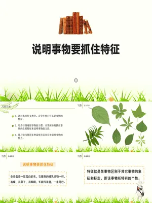 说明事物要抓住特征PPT课件4