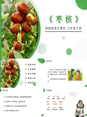 枣核PPT课件2