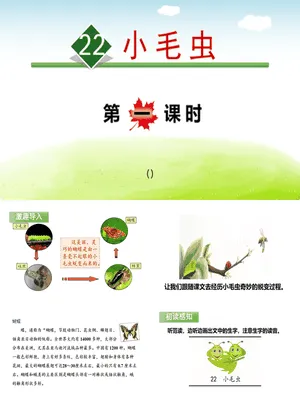 小毛虫PPT课件8