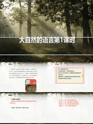 大自然的语言PPT课件2