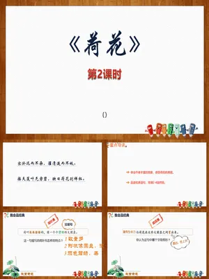 荷花PPT课件2
