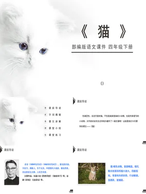 猫PPT课件1