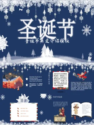 PTJR0285圣诞节简约雪花英文介绍