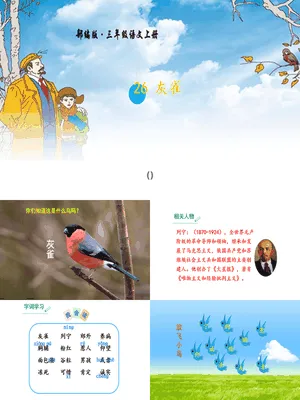 灰雀PPT课件7