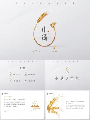 JR0380小满节气麦穗金光