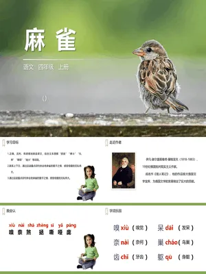 麻雀PPT课件3