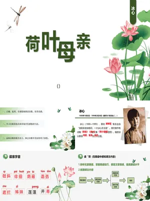 荷花母亲PPT课件6