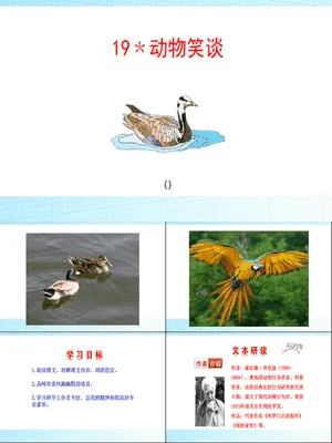 动物笑谈PPT课件6