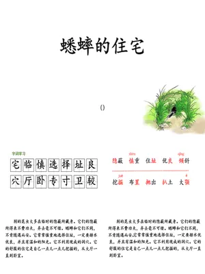 蟋蟀的住宅PPT课件6