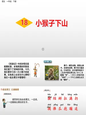 小猴子下山PPT课件7