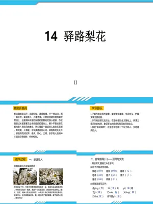 驿路梨花PPT课件1