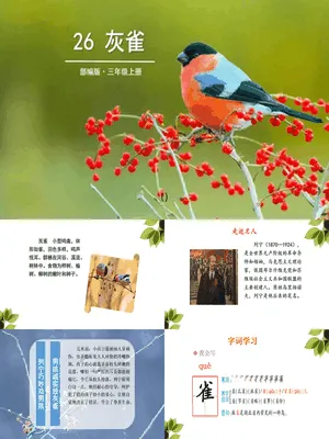 灰雀PPT课件6