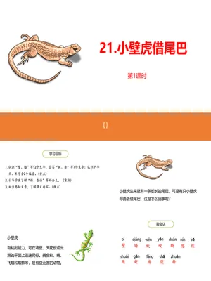 小壁虎借尾巴PPT课件4