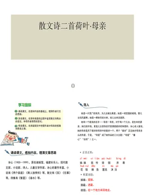 荷花母亲PPT课件5