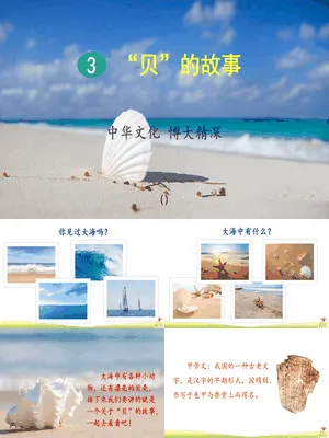 贝的故事PPT课件7