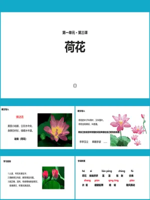 荷花PPT课件1