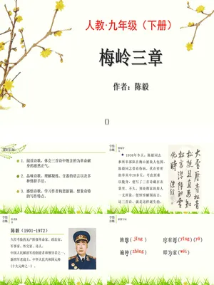 梅岭三章PPT课件8