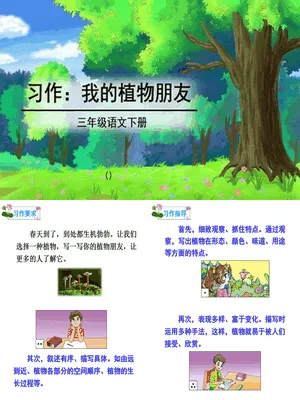 我的植物朋友PPT课件5