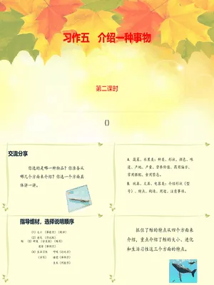 介绍一种事物PPT课件1