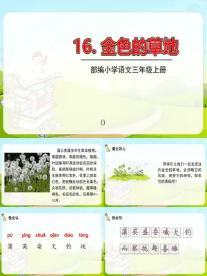 金色的草地PPT课件8