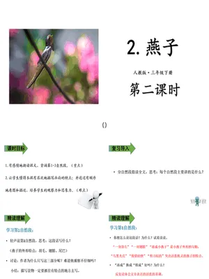 燕子PPT课件4