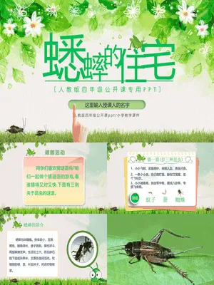 蟋蟀的住宅PPT课件2