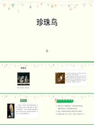 珍珠鸟PPT课件2