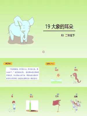 大象的耳朵PPT课件8