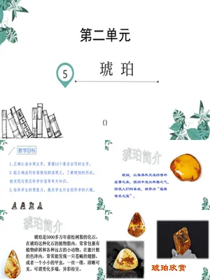 琥珀PPT课件4