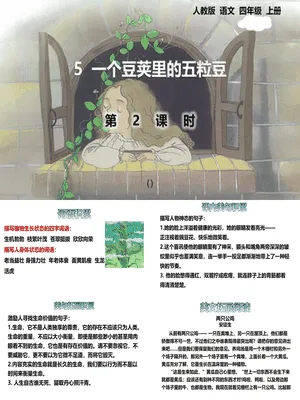 一个豆荚里的五粒豆PPT课件4