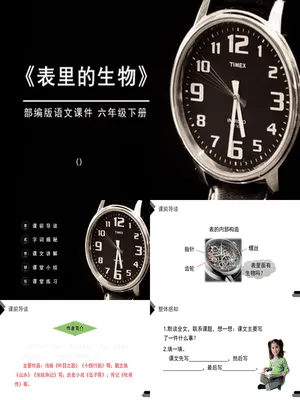 表里的生物PPT课件5
