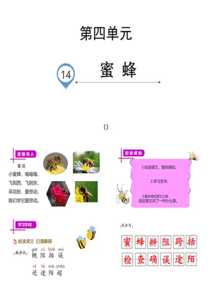 蜜蜂PPT课件1