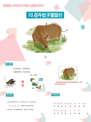 在牛肚子里旅行PPT课件3